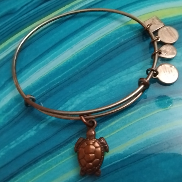 Alex and Ani Sea Turtle Charm Bracelet - Picture 9 of 13